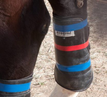 Blue and Red cross country tape on EcoGold Backs