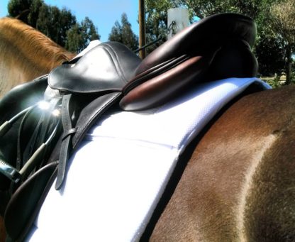 EcoGold CoolFit forward flap jump saddle