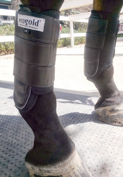 ecogold boots