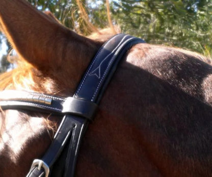 Fancy Stitch Bridle - crownpiece