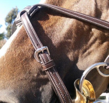 Figure 8 Bridle Buckle