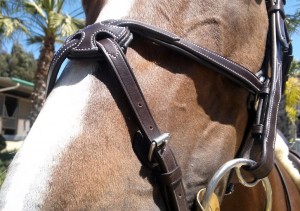 Figure 8 Noseband - Chessington by Five Star Tack