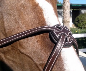 Five Star Tack Kingsbury Figure 8 bridle Noseband