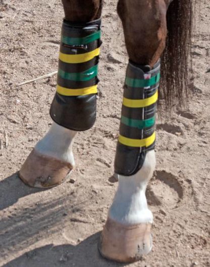 Green and Gold cross country tape on ecogold cross country boots