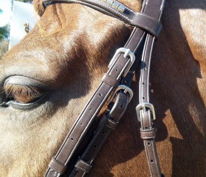 Kingsbury Bridle - cheek pieces and throat latch