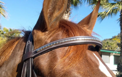 Padded Crownpiece and Custom Browband