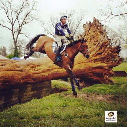 ecogold cross country pad boyd martin and Frisky