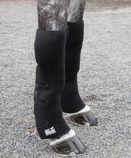 Ice Horse Knee to Ankle Wrap