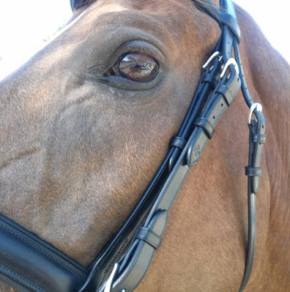 Waverly Dressage Bridle - Cheek Piece