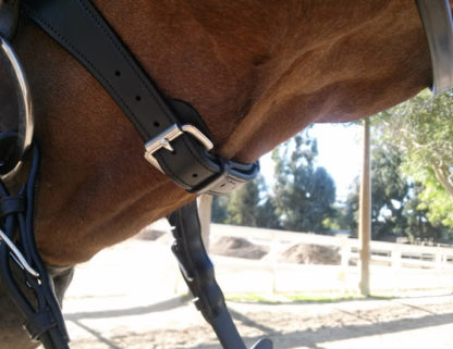 Waverly Dressage Bridle - chin view