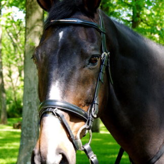 Waverly Dressage Bridle by Five Star Tack