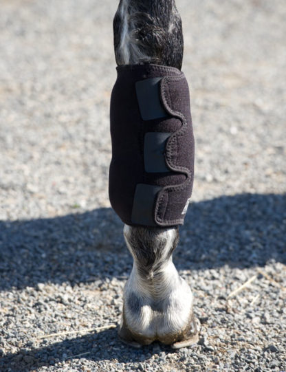 Equine Ice Wraps