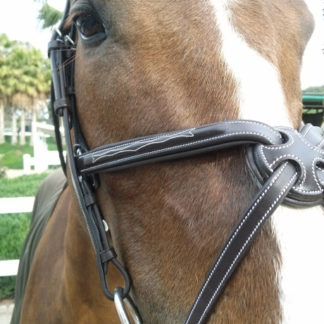 Horse Tack and Equipment