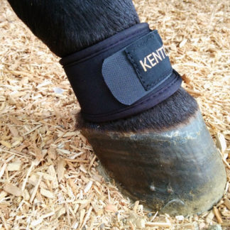 Pastern Wraps