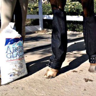 Equine Ice Boots