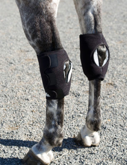 Ice Horse Equine Hock Wraps