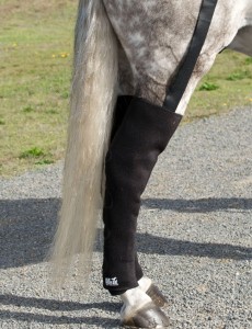 Ice Horse Full Hind Leg Equine Ice Boots