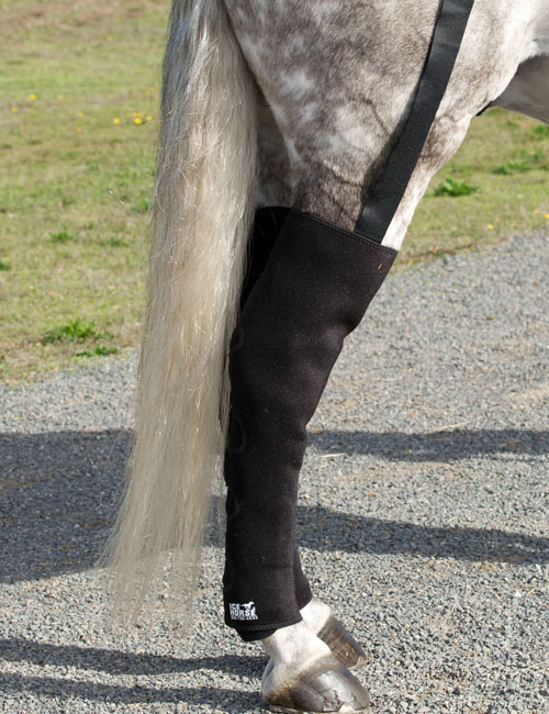 Ice Horse® Tendon Boots