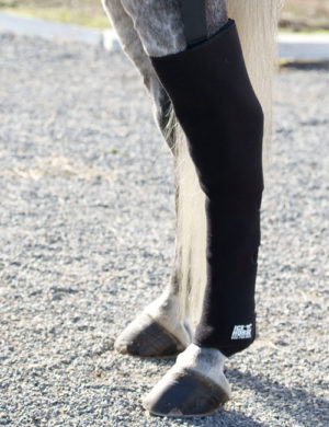 EQUINE ICE COMPRESSION SOCK  TURQUOISE. main image 1