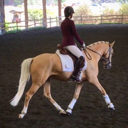 Sheepskin pony girth