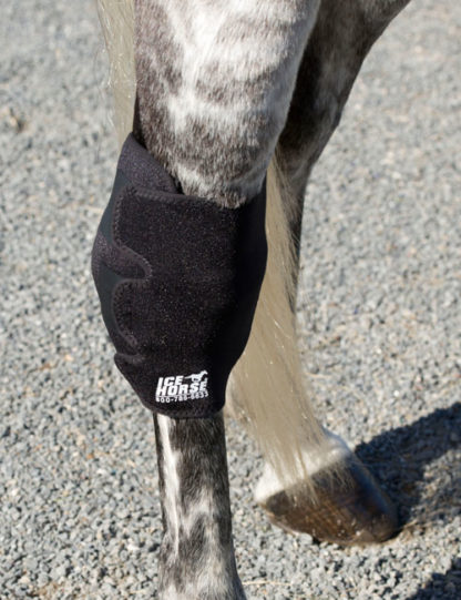 Single Ice Horse Hock Wrap