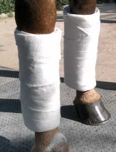 flannel standing wrap out