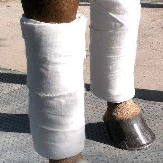 Equine Leg Wraps & Quilts