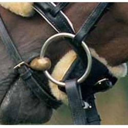 Bridle Chin Strap Cover