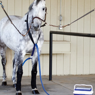 Ice Horse Continuous Cold Water System