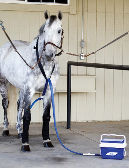 Ice Horse Continuous Cold Water System