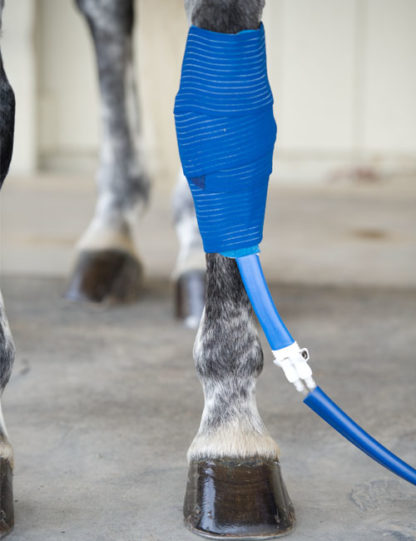 Ice Horse Knee Wrap System