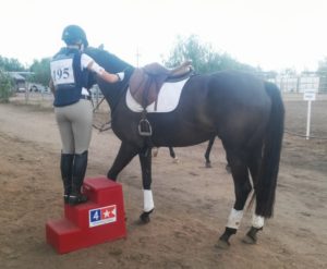 Custom horse mounting block