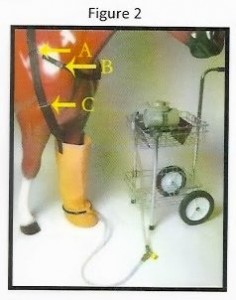 Figure 2 -  Whirlpool Boots For Horses