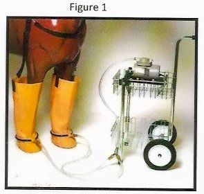 figure 1 -  Whirlpool Boots For Horses