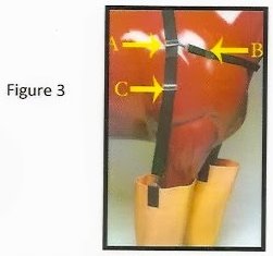 figure 3 -  Whirlpool Boots For Horses