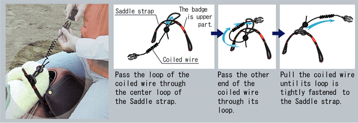 tying on your Hit Air accessory- Saddle Strap
