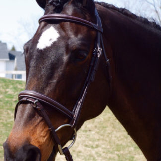 Ainsley Flash Bridle