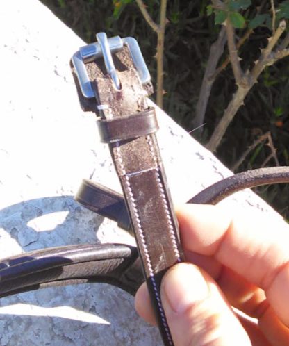 roller buckles on Ainsley bridle