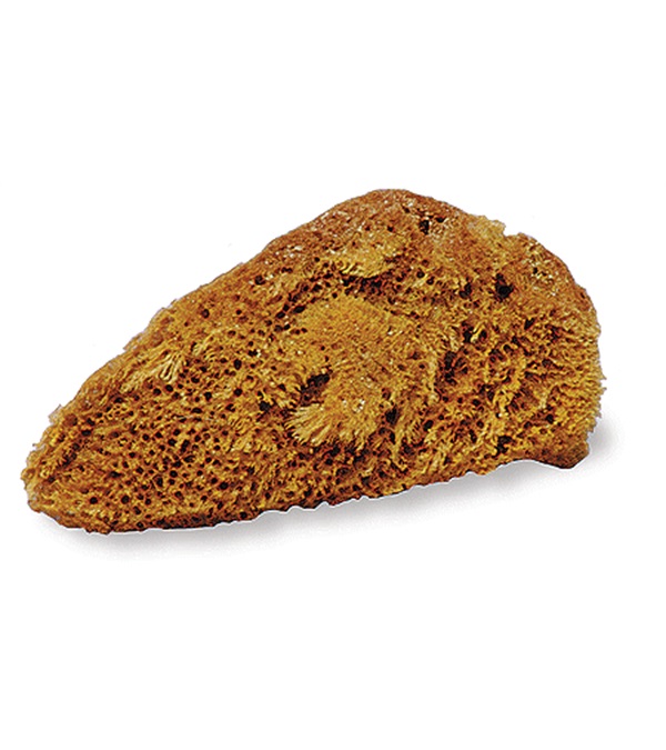 Natural Bathing Sponge, 5-6 Inches X 4-5 Inches Long