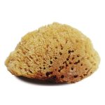 natural tack cleaning sponges