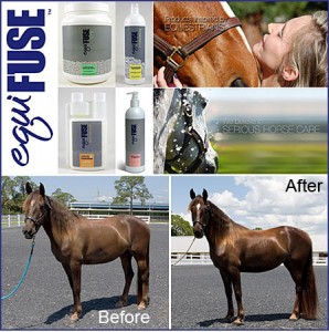 equifuse mane and tail conditioner
