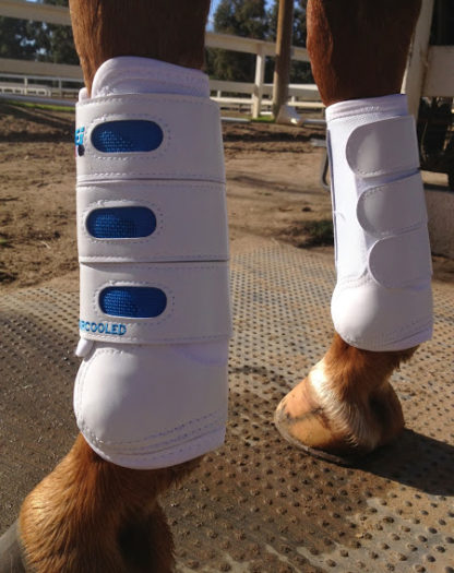 Premier equestrian international xc boots front