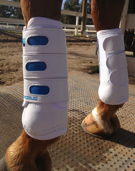 Premier Equine Eventing Boots 