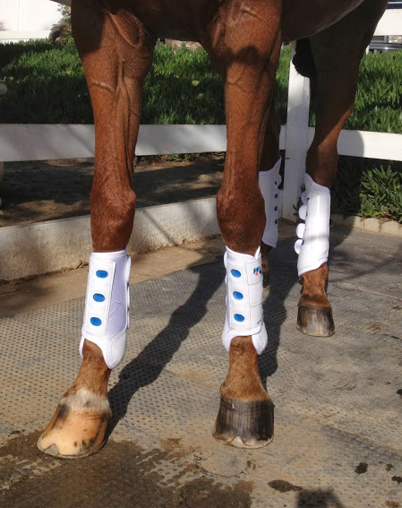 Premier Equine Air-Cooled BL1 Eventing Boots 