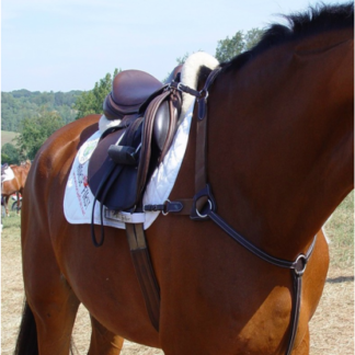five star tack Five Point breastplate