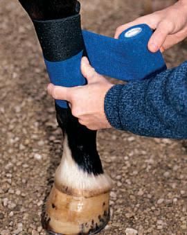 7 Pack Non Woven Horse Dog Vet Wound Cohesive Bandage Wrap Leg Support NO CHEW 