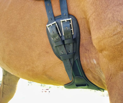 amerigo shaped dressage girth