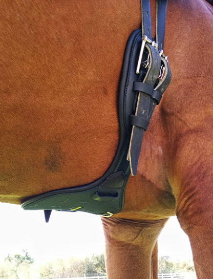 protector dressage girth