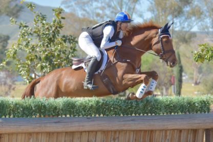 White PEI xc boots at Galway Downs