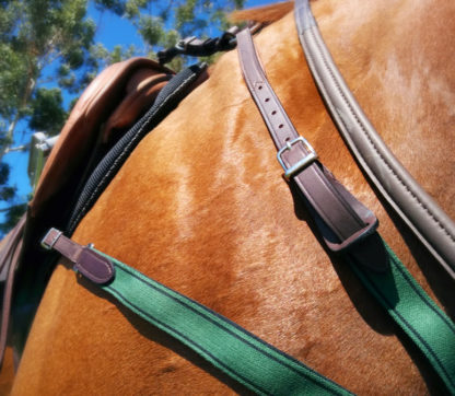 amerigo breastplate side view on horse